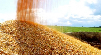 Conab negocia apoio ao escoamento de 390,1 milhões de t de milho do Centro-Oeste